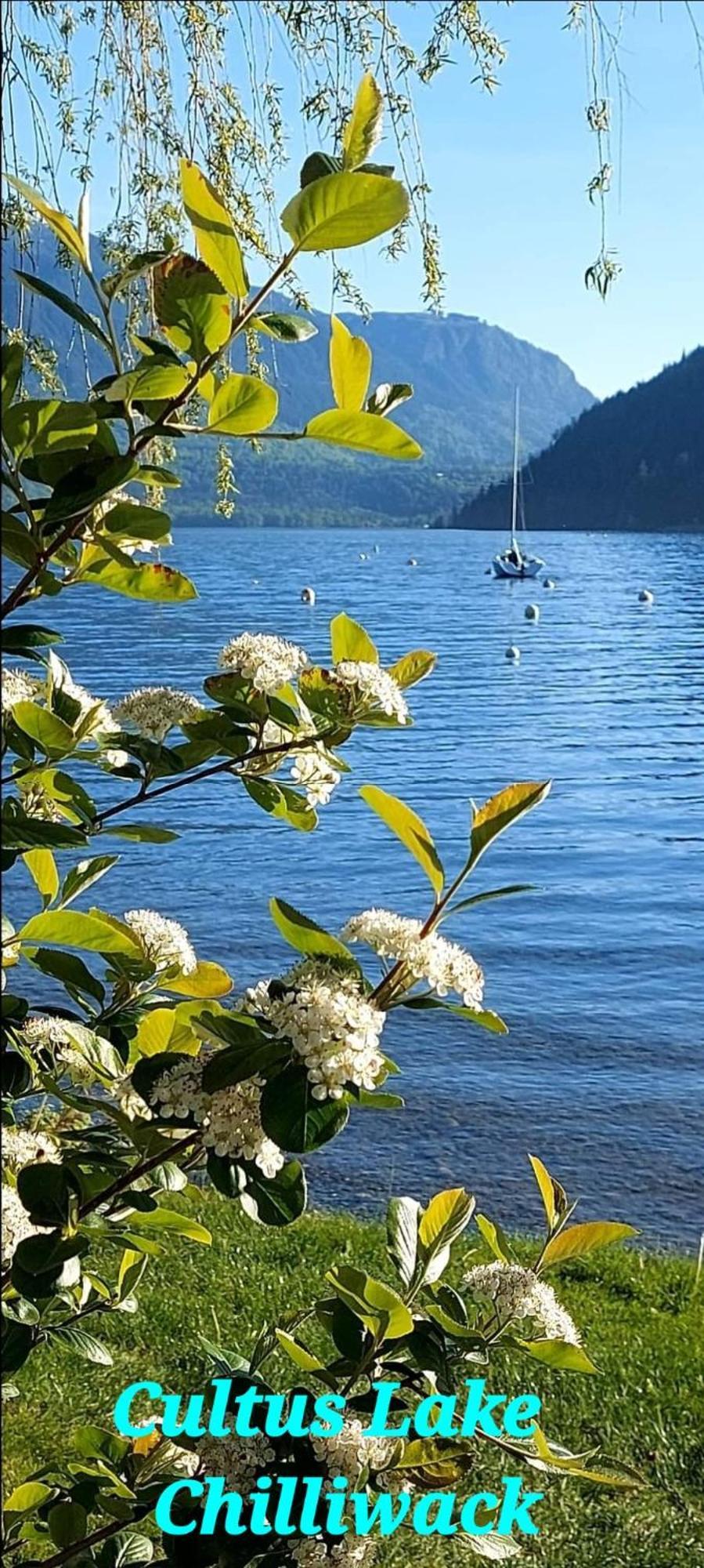 Private 2 Bedrooms Suite Near Hwy 1, Cultus Lake, Heritage Park, Fishing, Coliseum Chilliwack Kamer foto