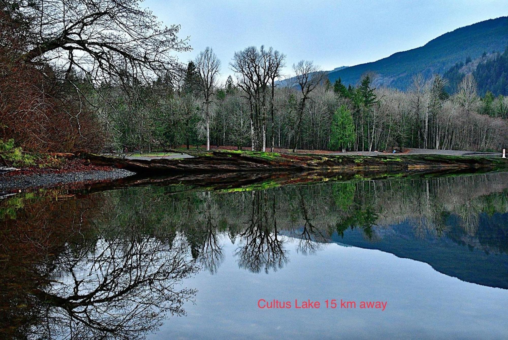 Private 2 Bedrooms Suite Near Hwy 1, Cultus Lake, Heritage Park, Fishing, Coliseum Chilliwack Buitenkant foto